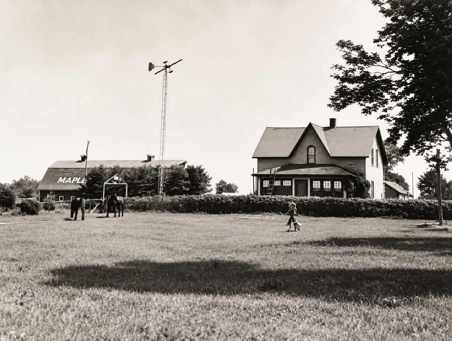 Harris Family Farm in 1950