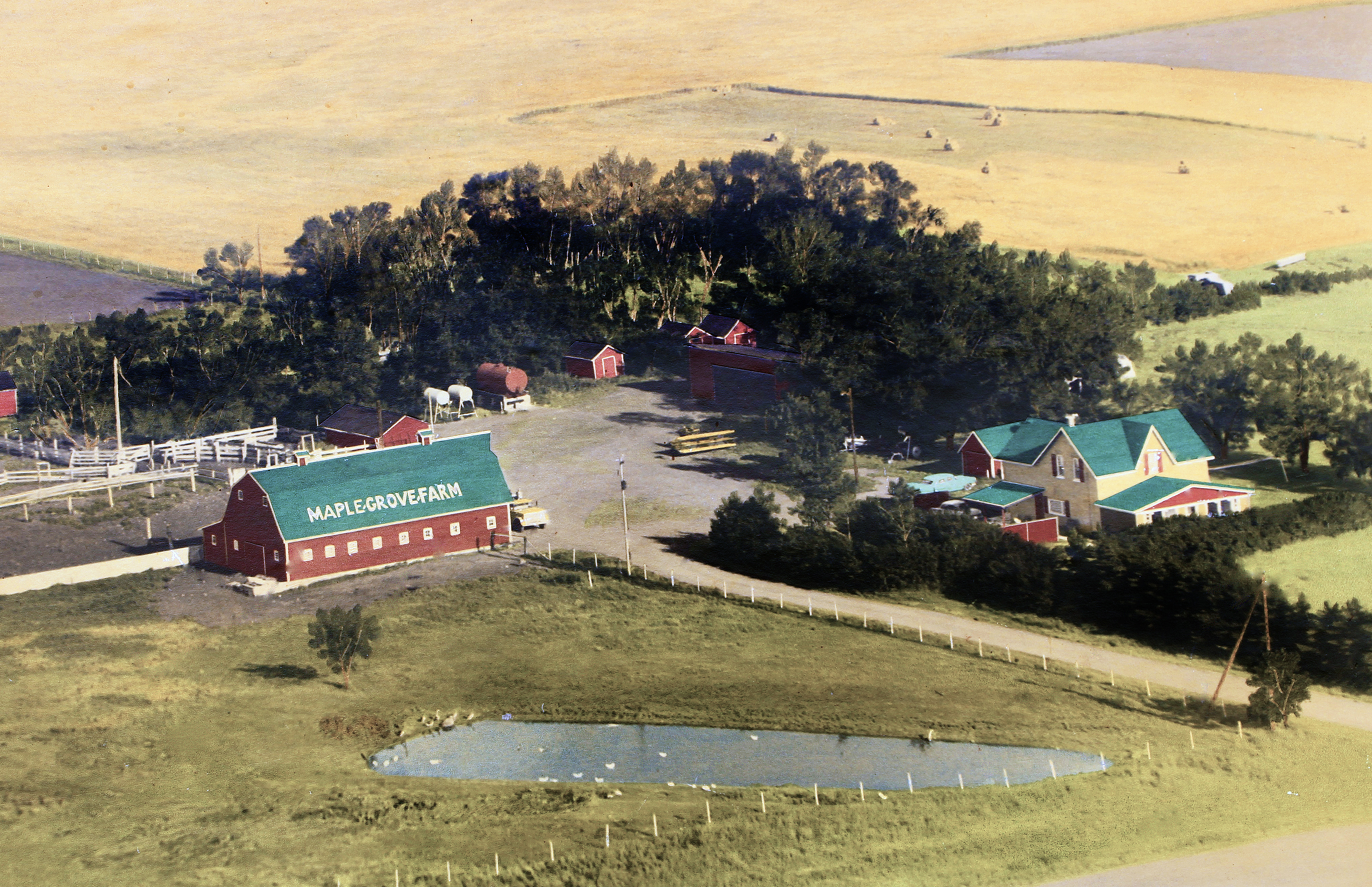 Harris Family Farm in 1960