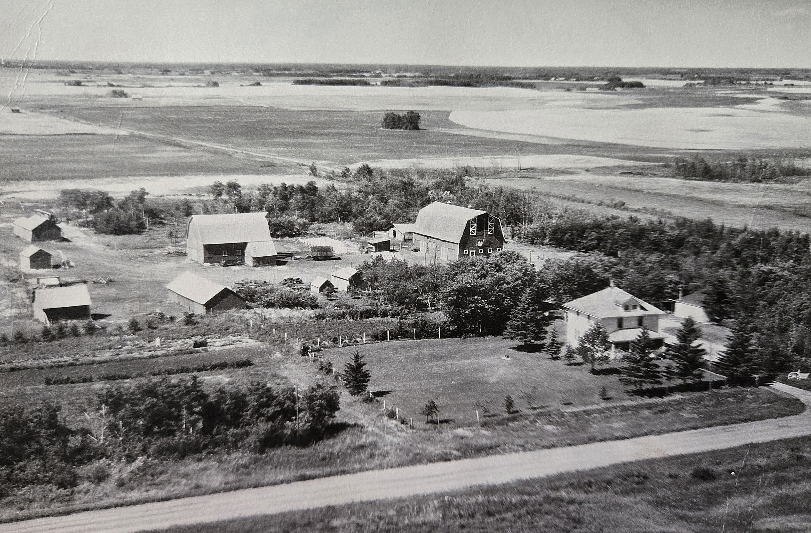 Historic aerial view of Wagon Wheel Farm